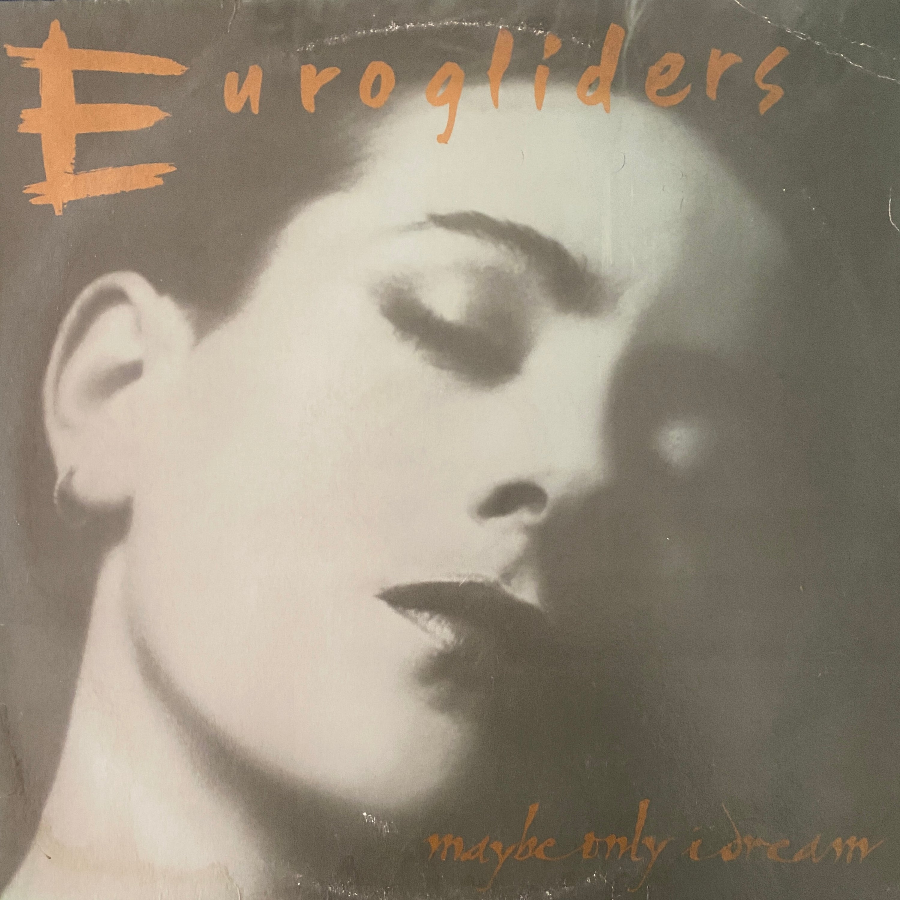 Eurogliders ‎| Maybe Only I Dream