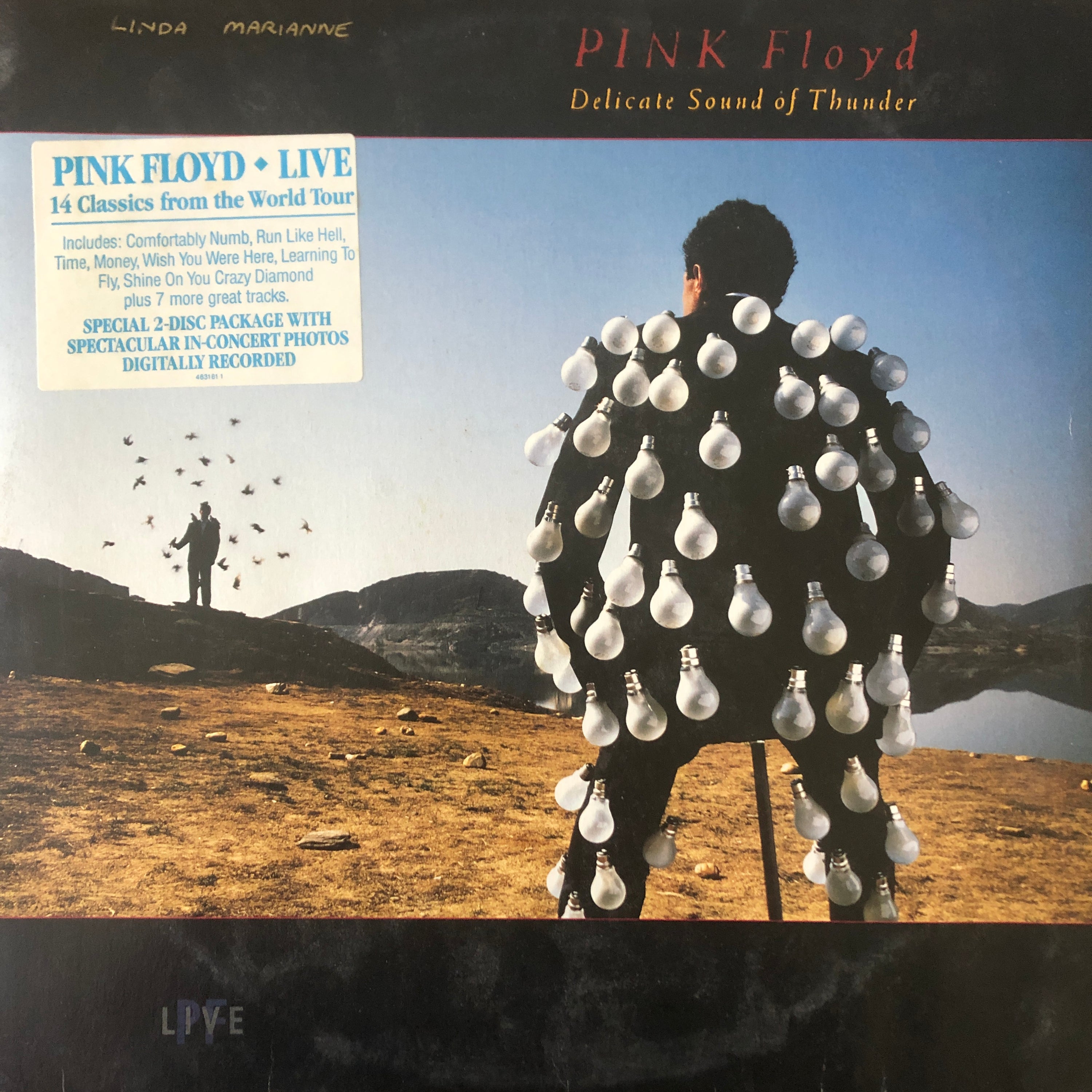 Pink Floyd ‎| Delicate Sound Of Thunder