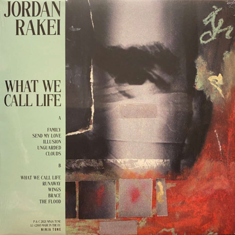 Jordan Rakei ‎| What We Call Life