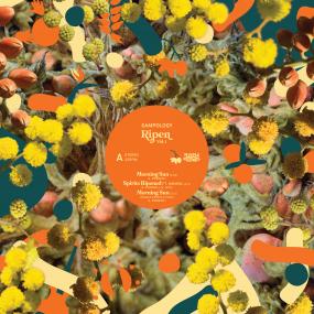SAMPOLOGY ‎| RIPEN VOL.1 [Pre-Order - Ready to ship 26/03/25] Vinyl Record - Rotate Recordings