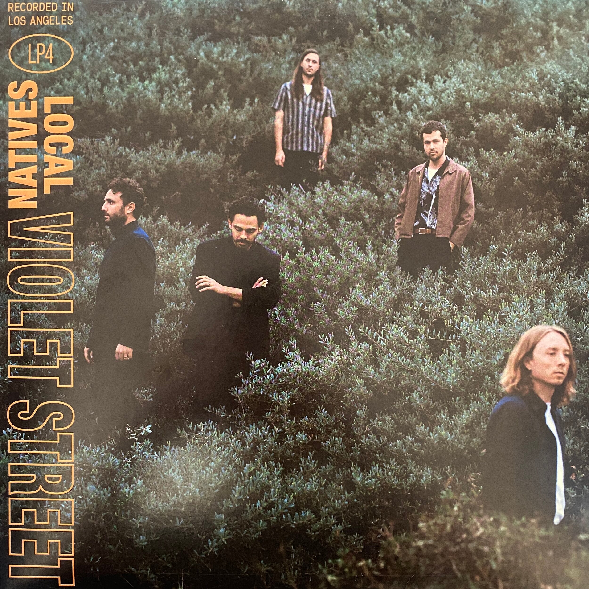 Local Natives ‎| Violet Street Vinyl Record - Rotate Recordings