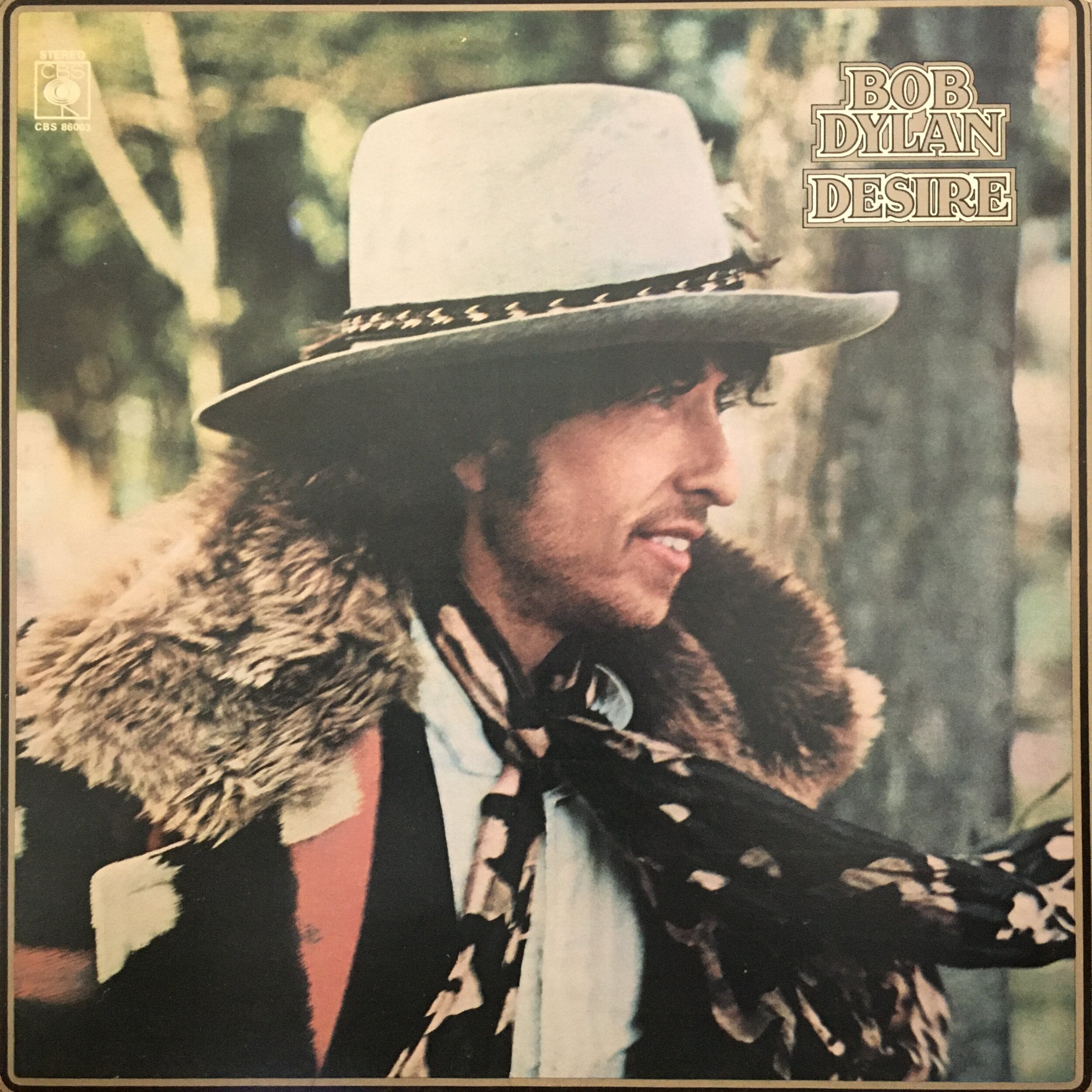 Bob Dylan | Desire