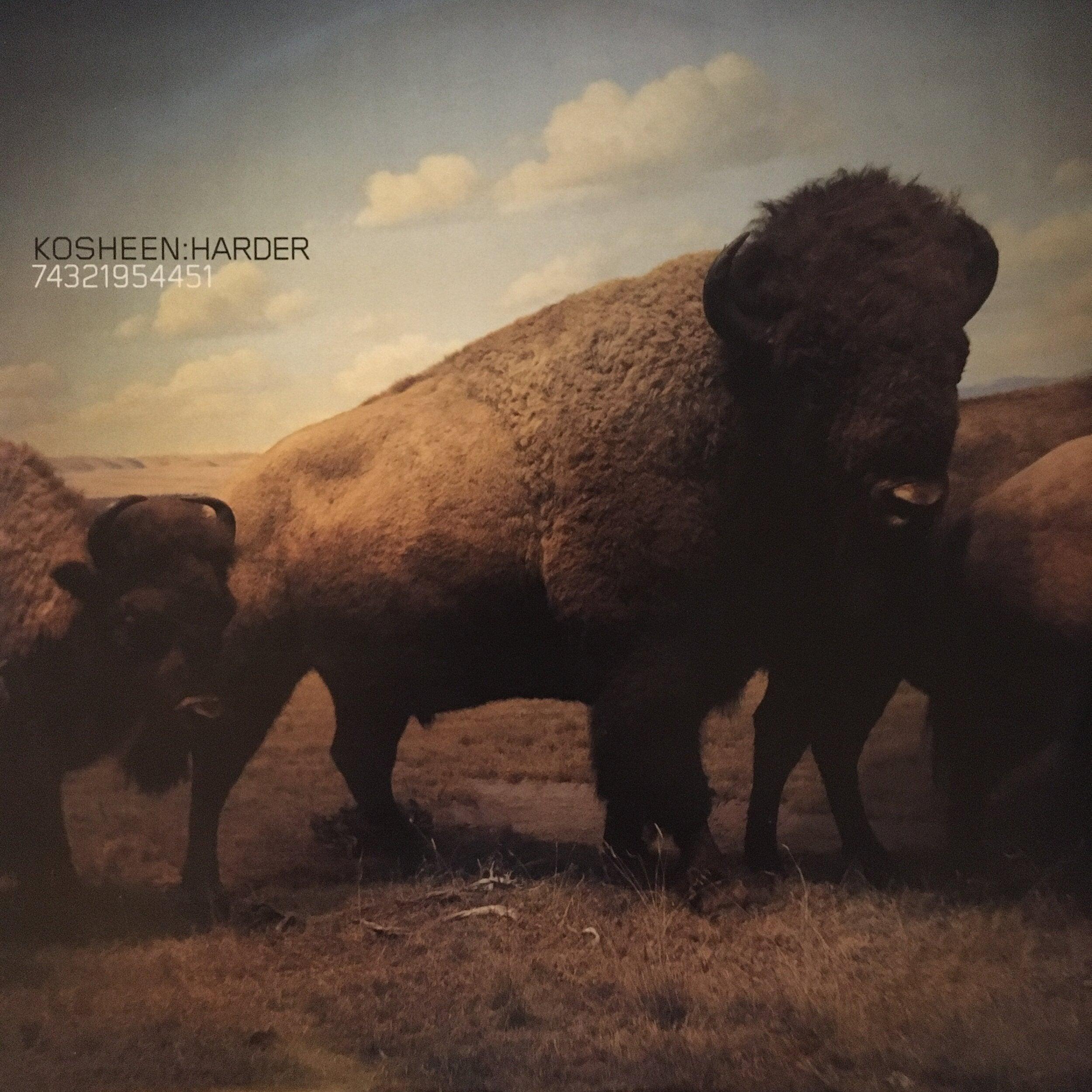Kosheen ‎| Harder 12" Vinyl Record - Rotate Recordings