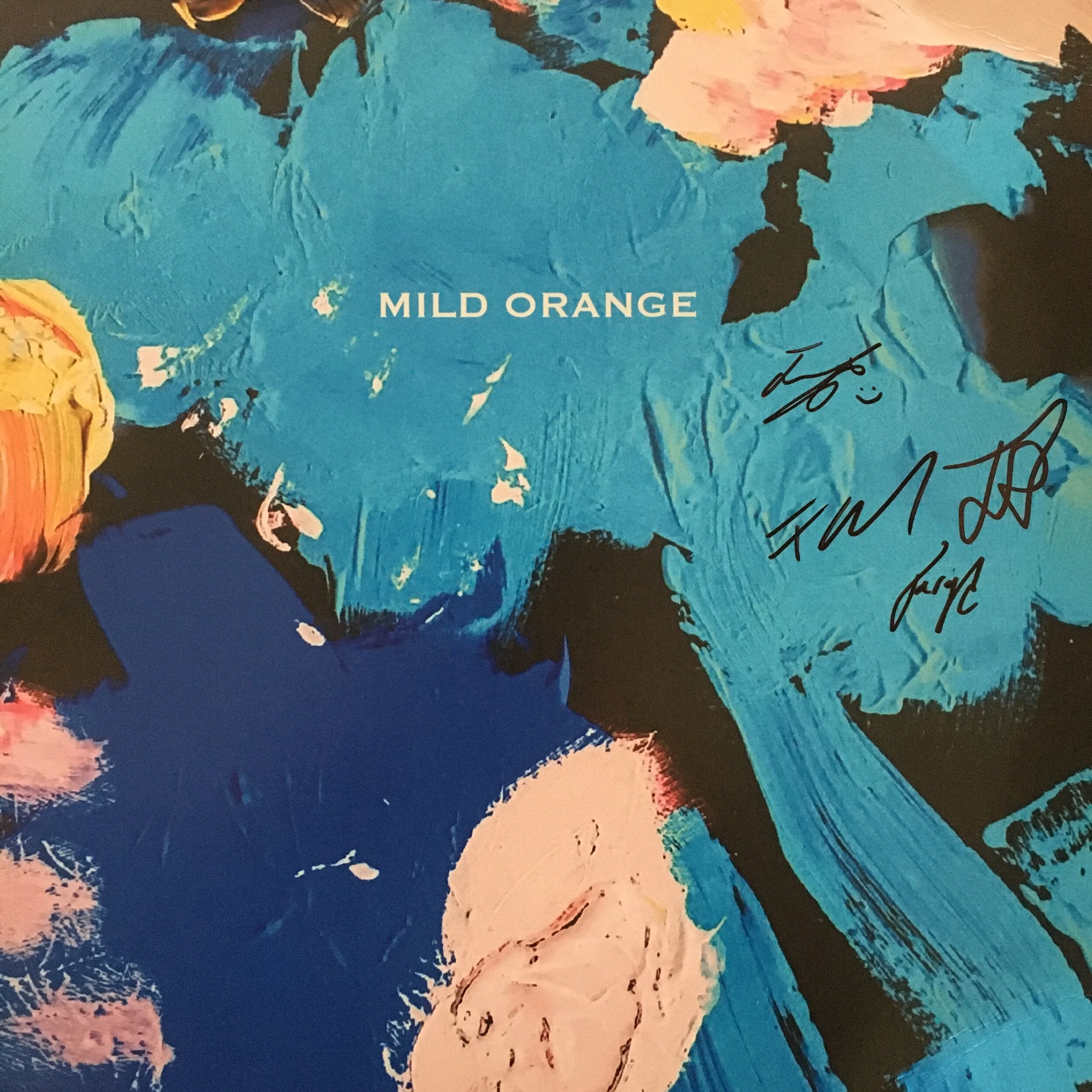 Mild Orange ‎| Mild Orange