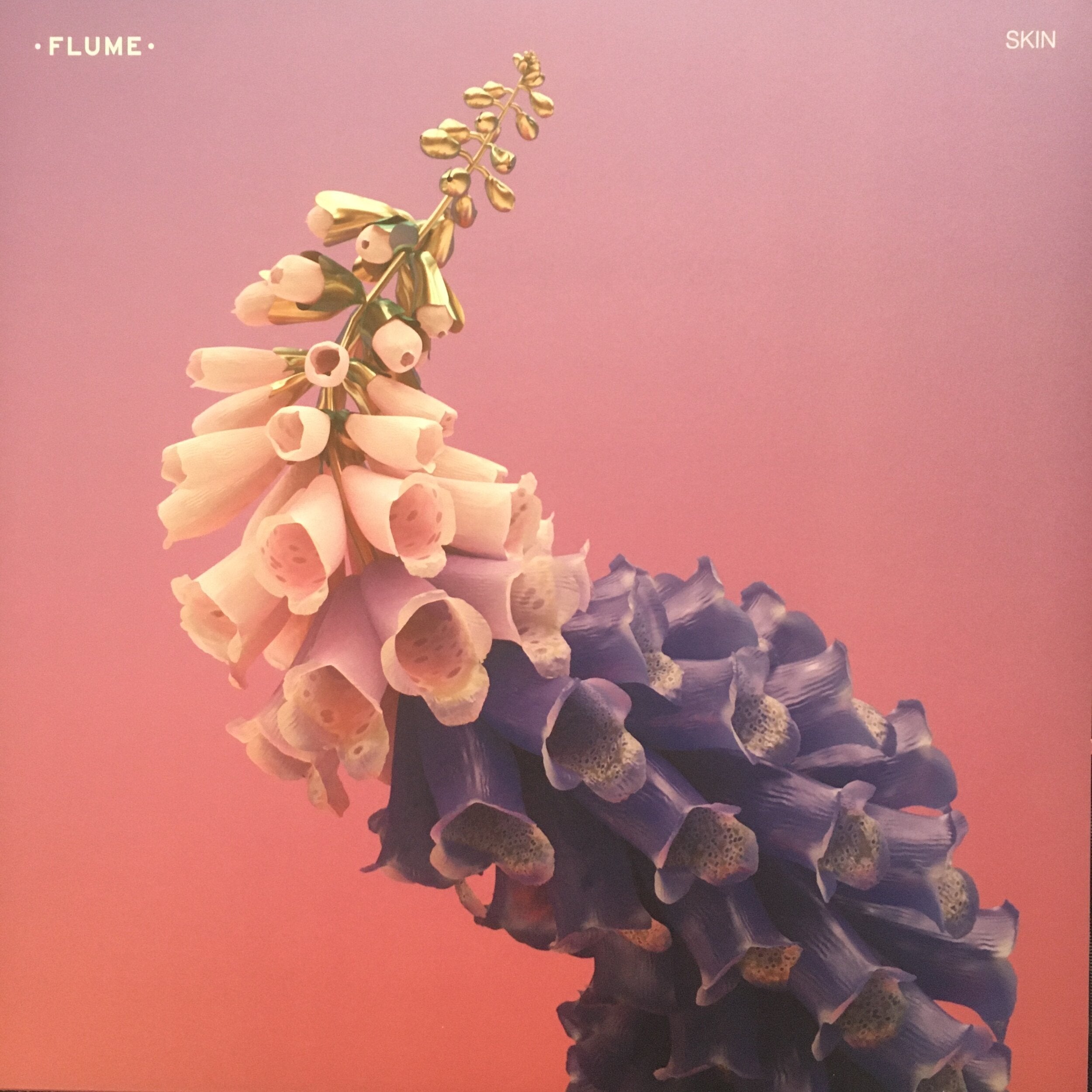 Flume ‎| Skin
